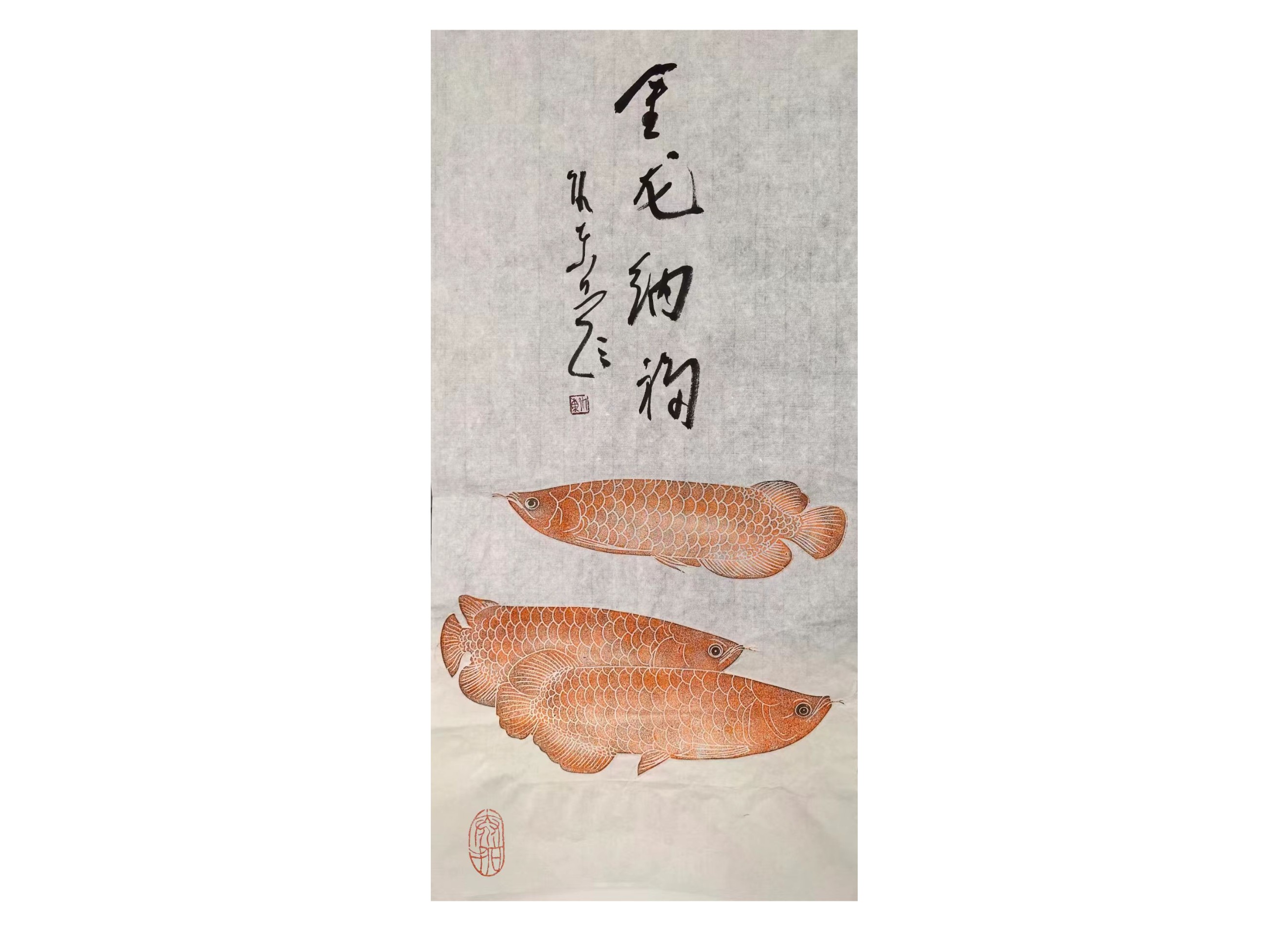 金龙纳福